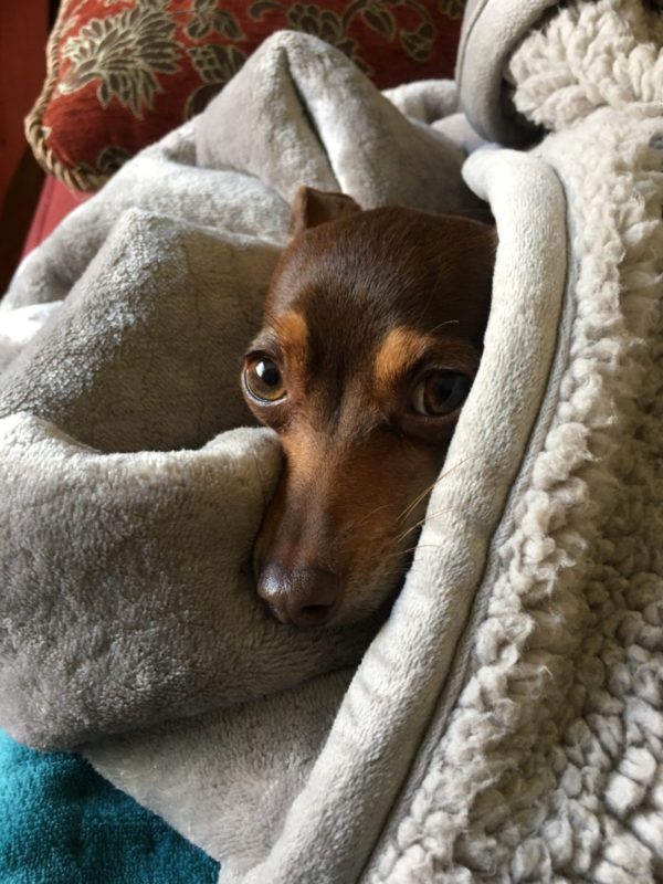 Tiny